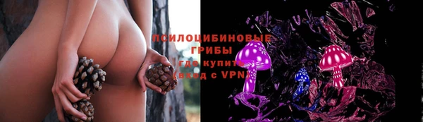 эйфоретик Алексин
