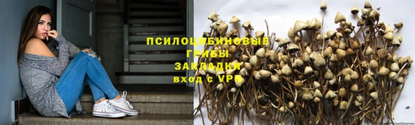 эйфоретик Алексин