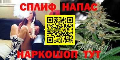 сатива Гусиноозёрск