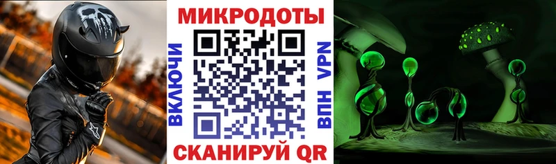 хочу наркоту  Звенигород  Псилоцибиновые грибы Psilocybe 