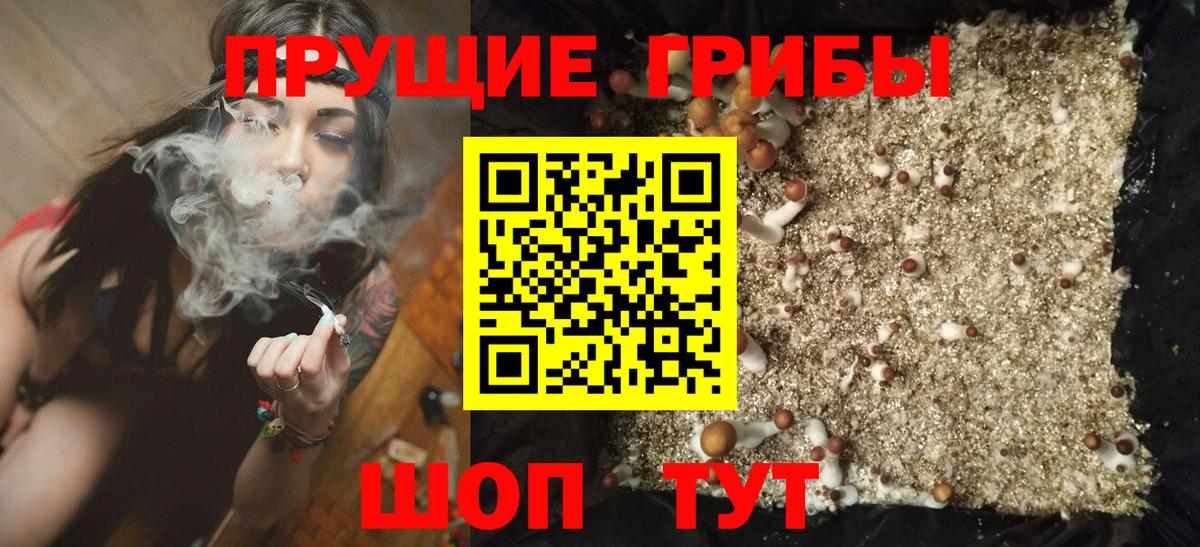 Галлюциногенные грибы GOLDEN TEACHER Звенигород